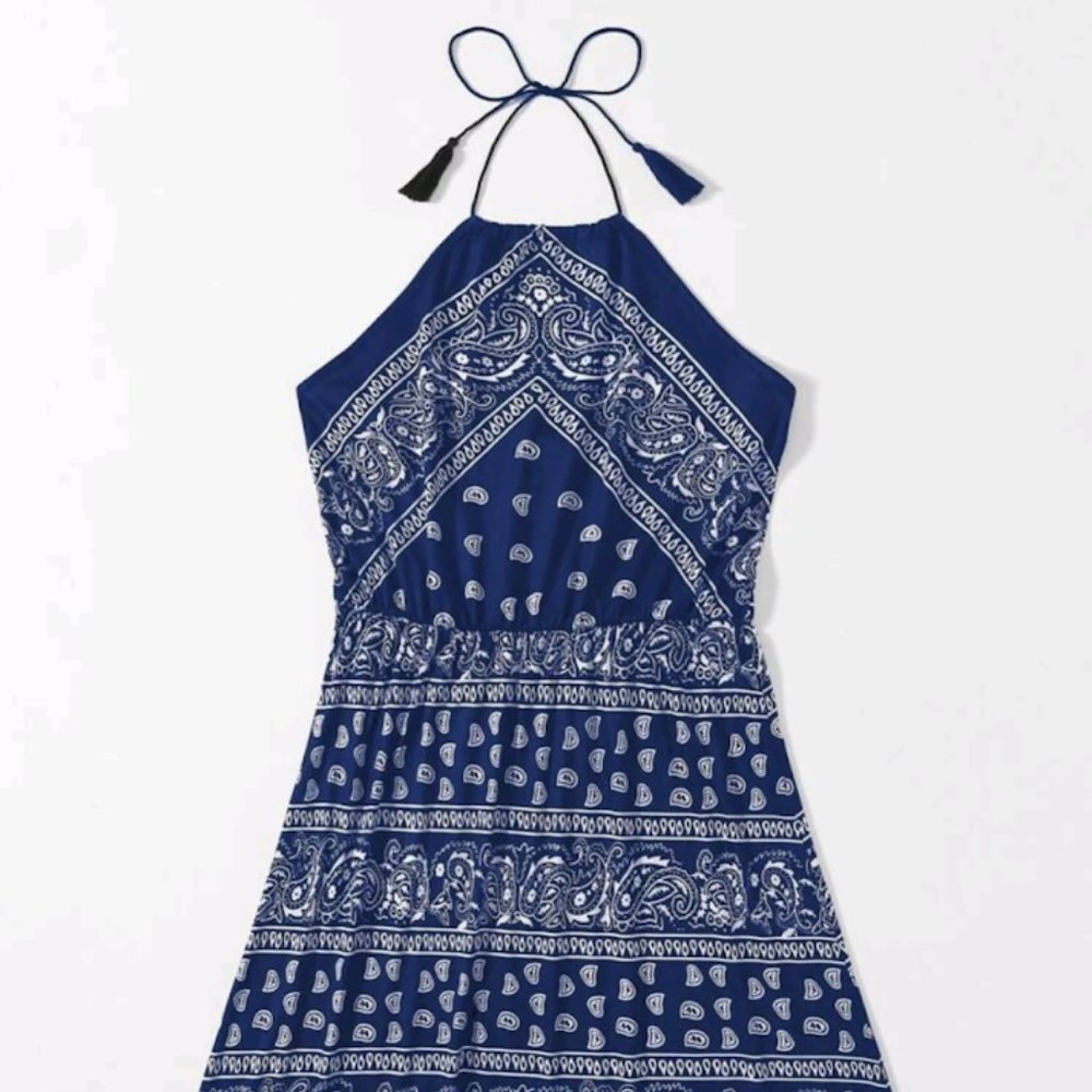 Plus Size Paisley Summer Dress